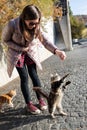 A woman feeds and plays with kittens on the embankment.