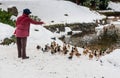 Woman feeds waterfowl ducks on a winter pond near open water. S