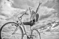 Woman feels happy while enjoy cycling. Girl rides bicycle sky background. How cycling changes your life and make you Royalty Free Stock Photo