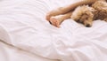Woman feet on the bed with poodle dog. Royalty Free Stock Photo