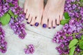 Woman feet with dark purple pedicure and lilac Royalty Free Stock Photo