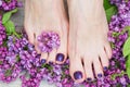 Woman feet with dark purple pedicure and lilac Royalty Free Stock Photo