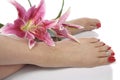 Woman feet and flowers over white Royalty Free Stock Photo