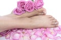 Woman feet and flowers over white Royalty Free Stock Photo