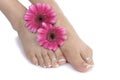 Woman feet and flowers over white Royalty Free Stock Photo