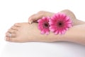 Woman feet legs and flowers Royalty Free Stock Photo
