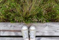 Woman feet in sneakers on the wooden path background with green grass. Royalty Free Stock Photo