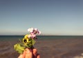 Woman female fingers holding flowers sea as background Royalty Free Stock Photo