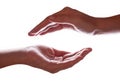 Woman or female hands cupped in a protection, protection, safety or safe concept symbol.