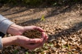 Woman hands holding young plant with soil Royalty Free Stock Photo