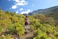 Woman in fern path