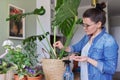 Woman fertilizes monstera plant in pot with mineral fertilizer in sticks at home