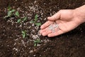 Woman fertilizing plant. Gardening season