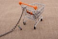 Woman figurine attached to a Shopping cart