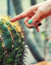 Woman finger with green nail polish touching cactus