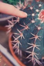 A woman finger and a large cactus. Fear of being pricked and getting a splinter from a cactus thorn