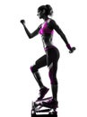 Woman fitness stepper silhouette