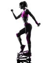 Woman fitness stepper weights exercises silhouette