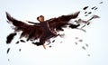 Woman floating on dark wings