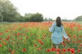 Woman in floral dress walking in poppy field in evening summer countryside. Atmospheric moment. Young female relaxing and Royalty Free Stock Photo
