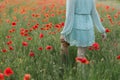 Woman in floral dress walking in poppy field in evening summer countryside. Atmospheric moment. Young female relaxing and Royalty Free Stock Photo