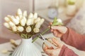 Woman florist cutting stem of tulips flowers with scissors and putting in vase on coffee table. Composing bouque.