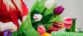 Woman florist makes bouquet of fresh tulips. Hands hold spring flowers. Royalty Free Stock Photo