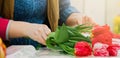 Woman florist makes bouquet of fresh tulips. Hands hold spring flowers. Royalty Free Stock Photo