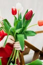 Woman florist makes bouquet of fresh tulips. Spring flowers in flower shop. Royalty Free Stock Photo