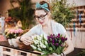 Woman florist taking care of tulips in flower shop Royalty Free Stock Photo