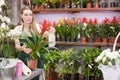 Woman florist working in floral shop, watering flowers in pots with spray bottle Royalty Free Stock Photo