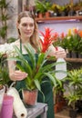 Woman florist working in floral shop, watering flowers in pots with spray bottle Royalty Free Stock Photo