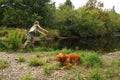 Woman Fly Fishing Small Stream For Trout