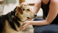 Woman fondling friendly dog outdoor