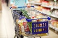 Woman with food in shopping cart at supermarket Royalty Free Stock Photo