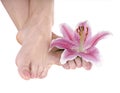 Woman foot with flower lily. Royalty Free Stock Photo