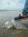 woman foot ready to push a medusa in a beach