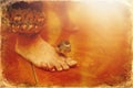 Woman foot and small bird in interier