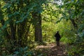 Woman on a footpath in a sunlit forest by fall season