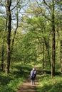 Woman on footpath through woods in spring Royalty Free Stock Photo