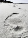 Woman Footprints in the sand during hot summer on the beach Royalty Free Stock Photo