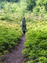 woman on a forest path Royalty Free Stock Photo