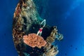 Woman free diver swimming at wreck ship. Freediving in blue ocean in wreck Royalty Free Stock Photo