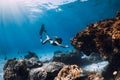 Woman freediver glides with fins near corals. Freediving and sun light in ocean