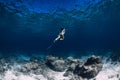 Woman freediver glides underwater in sea. Freediving with fins