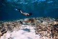 Woman freediver glides underwater with sea turtle. Royalty Free Stock Photo