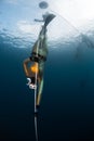 Woman freediver in the golden wetsuit descends along the rope