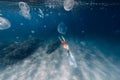 Woman freediver swim with jellyfish in ocean. Jellyfish in blue ocean
