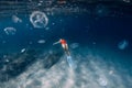 Woman freediver with white fins and jellyfish underwater. Freediving with jellyfish in ocean