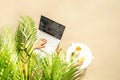 Woman freelancer with laptop sitting under palm tree branches. Sunscreen, sunglasses, orange juice on the table of sandy beach Royalty Free Stock Photo